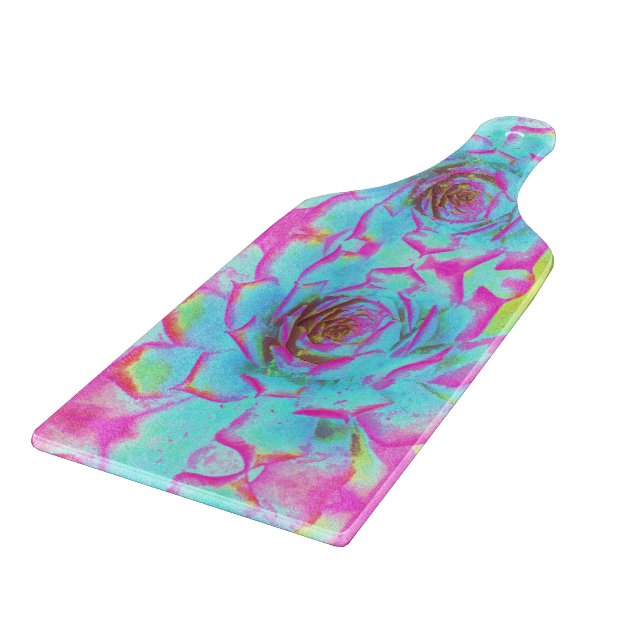 Shock rosa och Blue Succulent Sedum Rosette (Hörn)