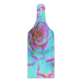 Shock rosa och Blue Succulent Sedum Rosette