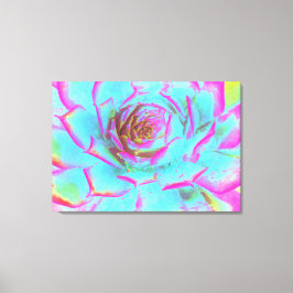 Shock rosa och Blue Succulent Sedum Rosette Canvastryck