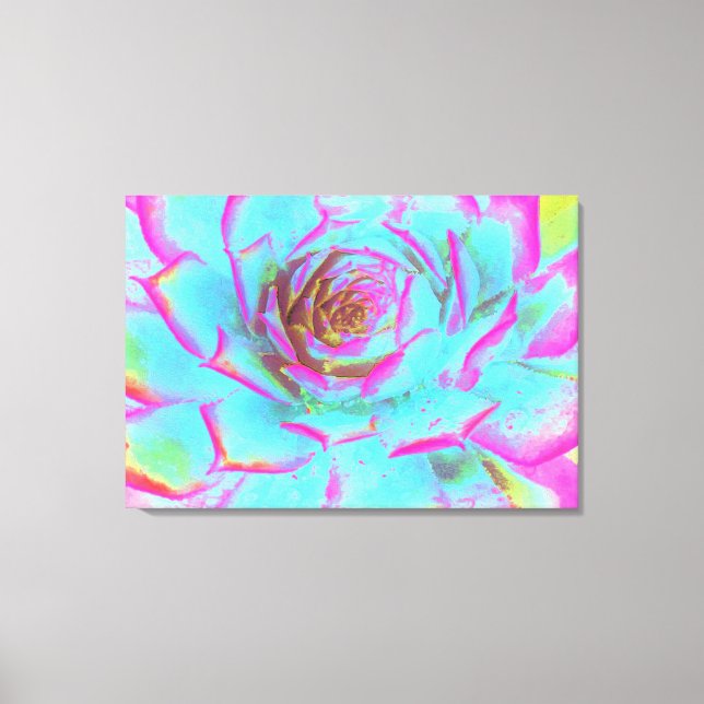 Shock rosa och Blue Succulent Sedum Rosette Canvastryck (Framsida)