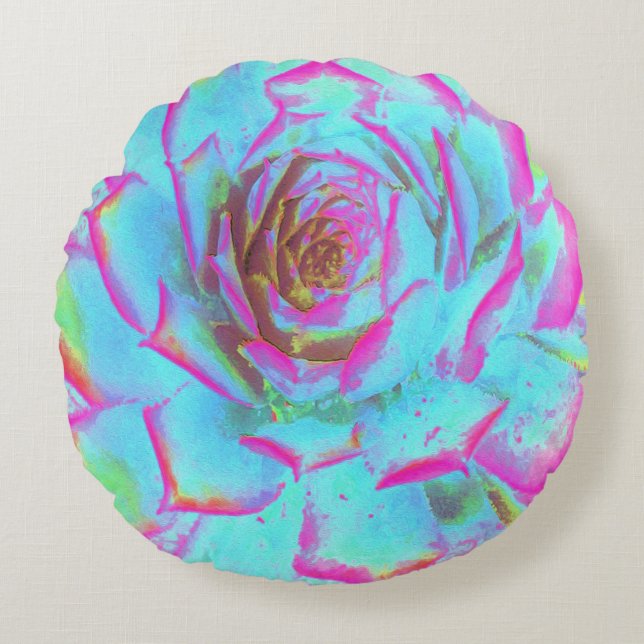 Shock rosa och Blue Succulent Sedum Rosette Rund Kudde (Framsidan)