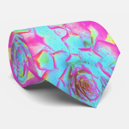 Shock rosa och Blue Succulent Sedum Rosette Slips