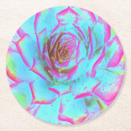 Shock rosa och Blue Succulent Sedum Rosette Underlägg Papper Rund