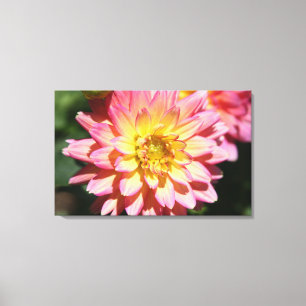 shock rosa och Gult Dahlia Flower Canvastryck