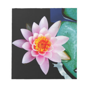 Shock rosa och orange Lotus vatten lily-blomma Anteckningsblock