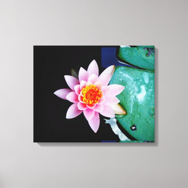 Shock rosa och orange Lotus vatten lily-blomma Canvastryck (Framsida)
