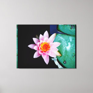 Shock rosa och orange Lotus vatten lily-blomma Canvastryck