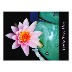 Shock rosa och orange Lotus vatten lily-blomma Fototryck