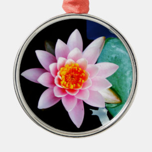 Shock rosa och orange Lotus vatten lily-blomma Julgransprydnad Metall