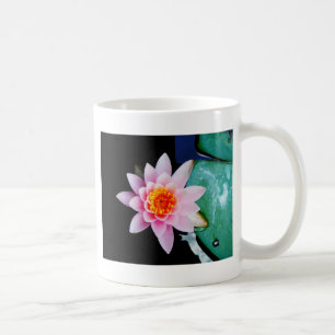 Shock rosa och orange Lotus vatten lily-blomma Kaffemugg