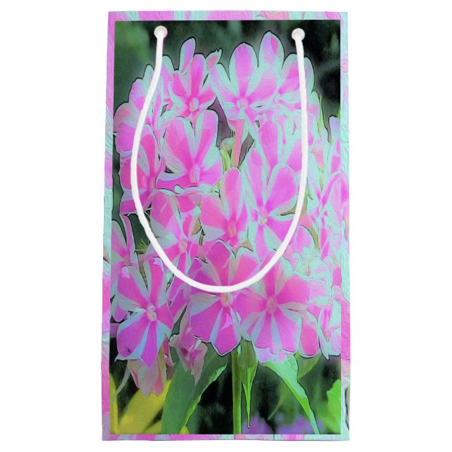 Shock rosa och vit Peppermynt Twist Garden Phlox (Framsidan)