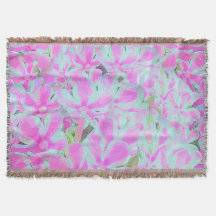 Shock rosa och vit Peppermynt Twist Garden Phlox