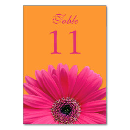 Shock rosa Orange Gerbera Daisy Bröllop Bordsnummer