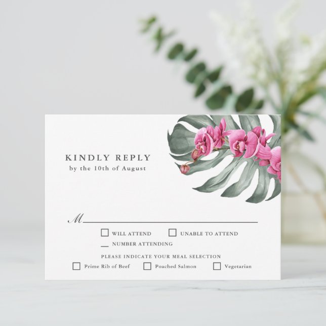 Shock rosa Orchids Tropical OSA with Entree Kort (Stående Fram)