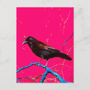 Shock rosa Raven Kråka Vykort