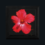 Shock rosa Red Hibiscus blomma på Black Smyckeskrin<br><div class="desc">Snyggt foto av en Shock rosa Red Hibiscus-blomma på Black av Artist Sandra Marie Closs. Lägg till egen text, namn eller monogram för att skapa perfekten för alla tillfälle. Bröllop, party, sympati, födelsedag, babydusch, vilket firande som helst eller bara för att göra din dag lite trevligare. blommigt, blomma, blommor, blommor,...</div>