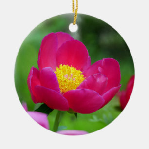 Shock rosa Ro Julgransprydnad Keramik