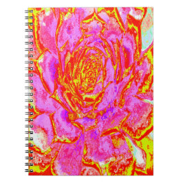 Shock rosa, Röd och Gult Succulent Sedum Rosette Anteckningsbok