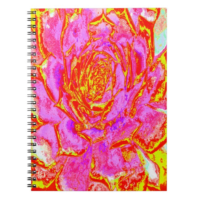 Shock rosa, Röd och Gult Succulent Sedum Rosette Anteckningsbok (Framsidan)