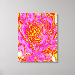 Shock rosa, Röd och Gult Succulent Sedum Rosette Canvastryck