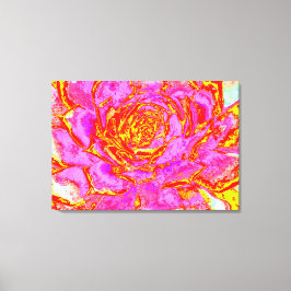 Shock rosa, Röd och Gult Succulent Sedum Rosette Canvastryck