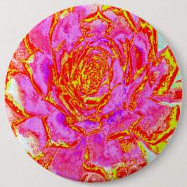 Shock rosa, Röd och Gult Succulent Sedum Rosette Knapp