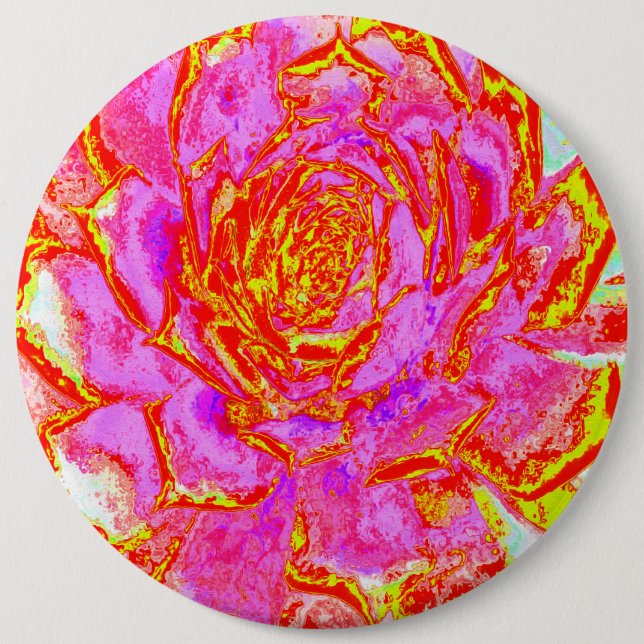 Shock rosa, Röd och Gult Succulent Sedum Rosette Knapp (Framsida)