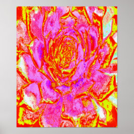 Shock rosa, Röd och Gult Succulent Sedum Rosette Poster