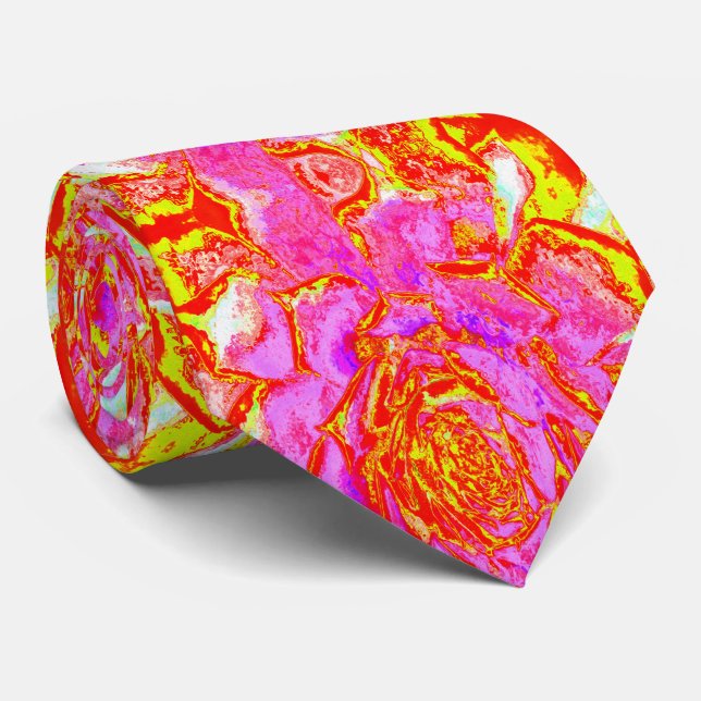 Shock rosa, Röd och Gult Succulent Sedum Rosette Slips (Rullad)