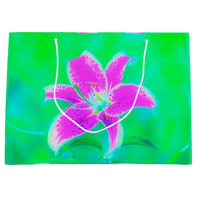 Shock rosa Stargazer Lily om turkos och Grönt (Framsidan)