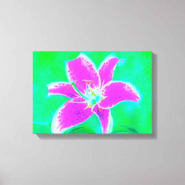 Shock rosa Stargazer Lily om turkos och Grönt Canvastryck (Framsida)
