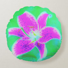 Shock rosa Stargazer Lily om turkos och Grönt