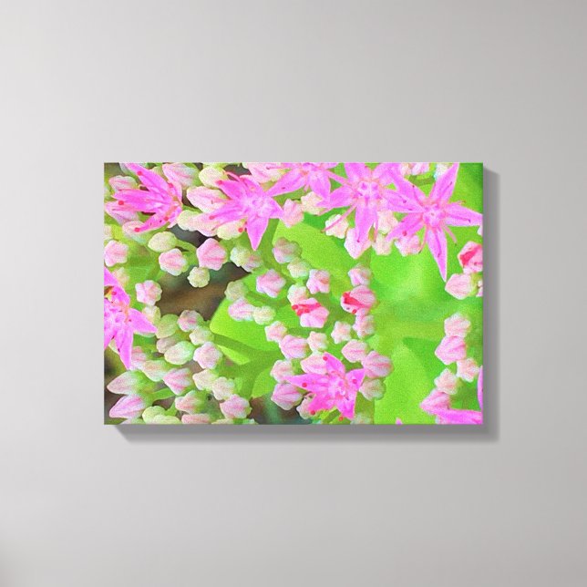Shock rosa Succulent Sedum med Fleshy Grönt Lövs Canvastryck (Framsida)