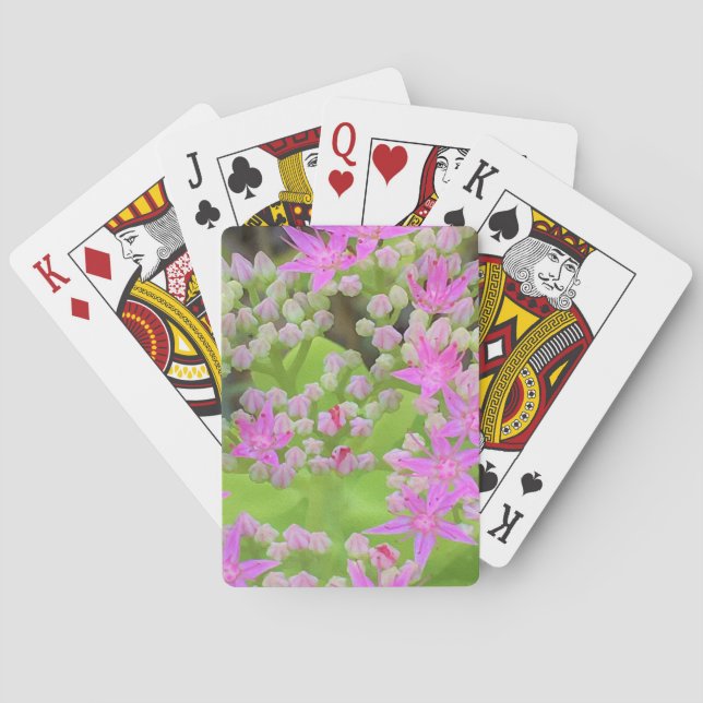 Shock rosa Succulent Sedum med Fleshy Grönt Lövs Casinokort (Baksidan)