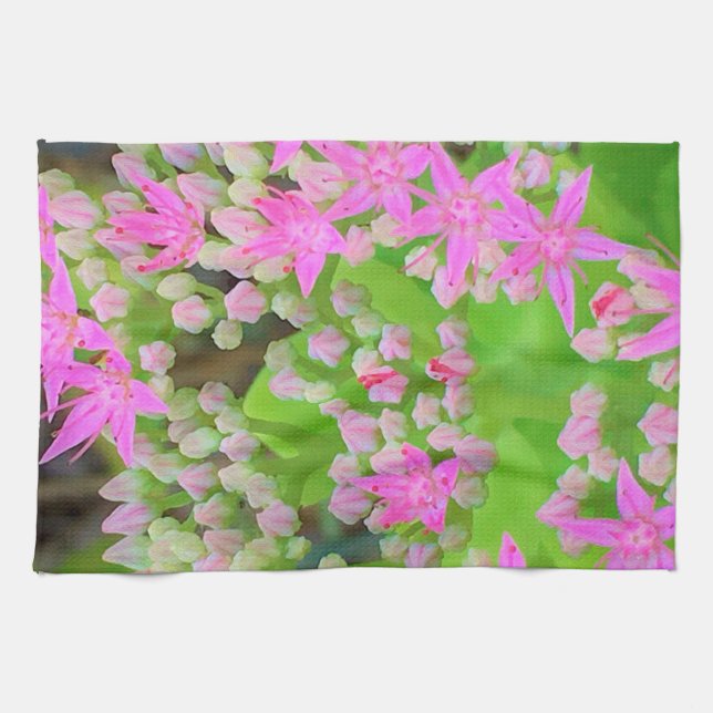 Shock rosa Succulent Sedum med Fleshy Grönt Lövs Kökshandduk (Horisontell)