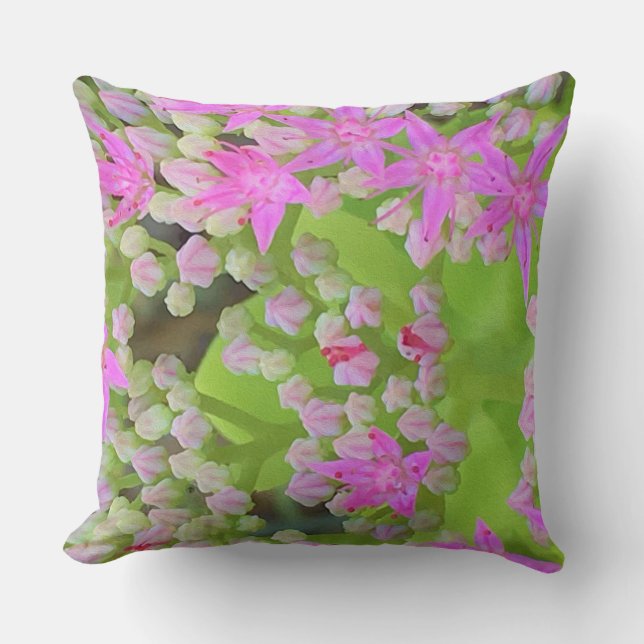 Shock rosa Succulent Sedum med Fleshy Grönt Lövs Kudde (Framsida)