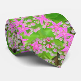 Shock rosa Succulent Sedum med Fleshy Grönt Lövs Slips