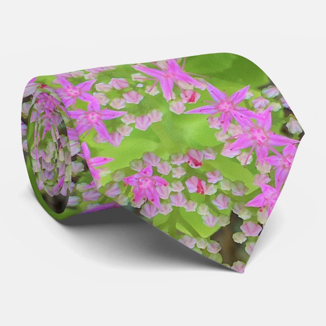 Shock rosa Succulent Sedum med Fleshy Grönt Lövs Slips (Rullad)