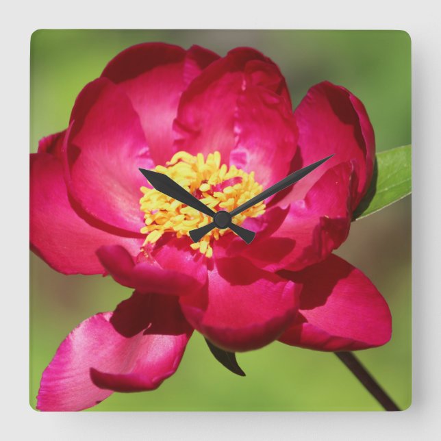 Shock rosa Trend Fyrkantig Klocka (Framsida)