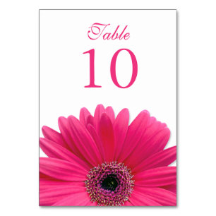 Shock rosa White Gerbera Daisy Bröllop Bordsnummer