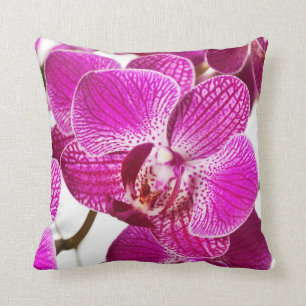 Shock rosaDendrobiumOrchid - Orchidsbakgrund Kudde