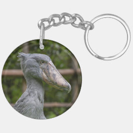 Shoebill (Balaeniceps rex)