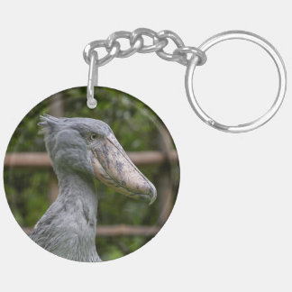 Shoebill (Balaeniceps rex)