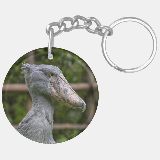 Shoebill (Balaeniceps rex) (Vänster Baksida)