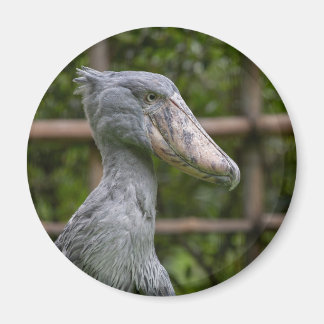 Shoebill (Balaeniceps rex) Magnet