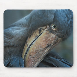 Shoebill Gel-Musmatta Musmatta