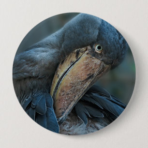 Shoebill Knapp