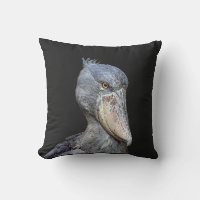 Shoebill Kudde (Framsida)