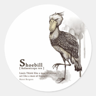shoebill - mocha runt klistermärke