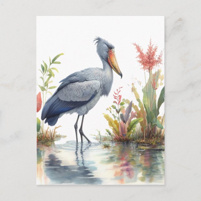 Shoebill Stork Watercolor-målning Vykort (Framsida)